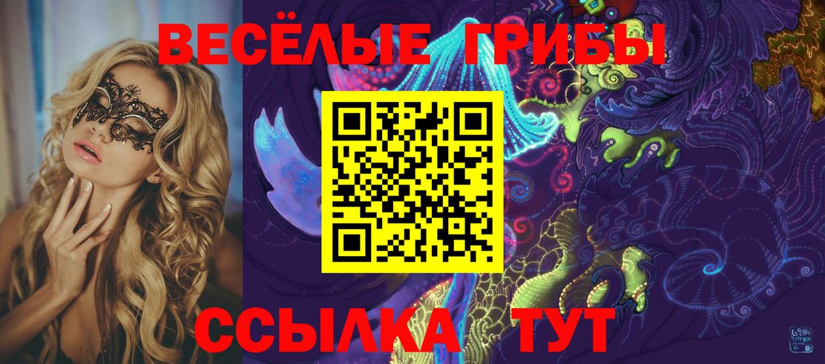 Ялта  Галлюциногенные грибы прущие грибы  Вход с VPN  Псилоцибиновые грибы мицелий 