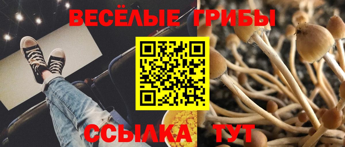 Псилоцибиновые грибы GOLDEN TEACHER Ялта